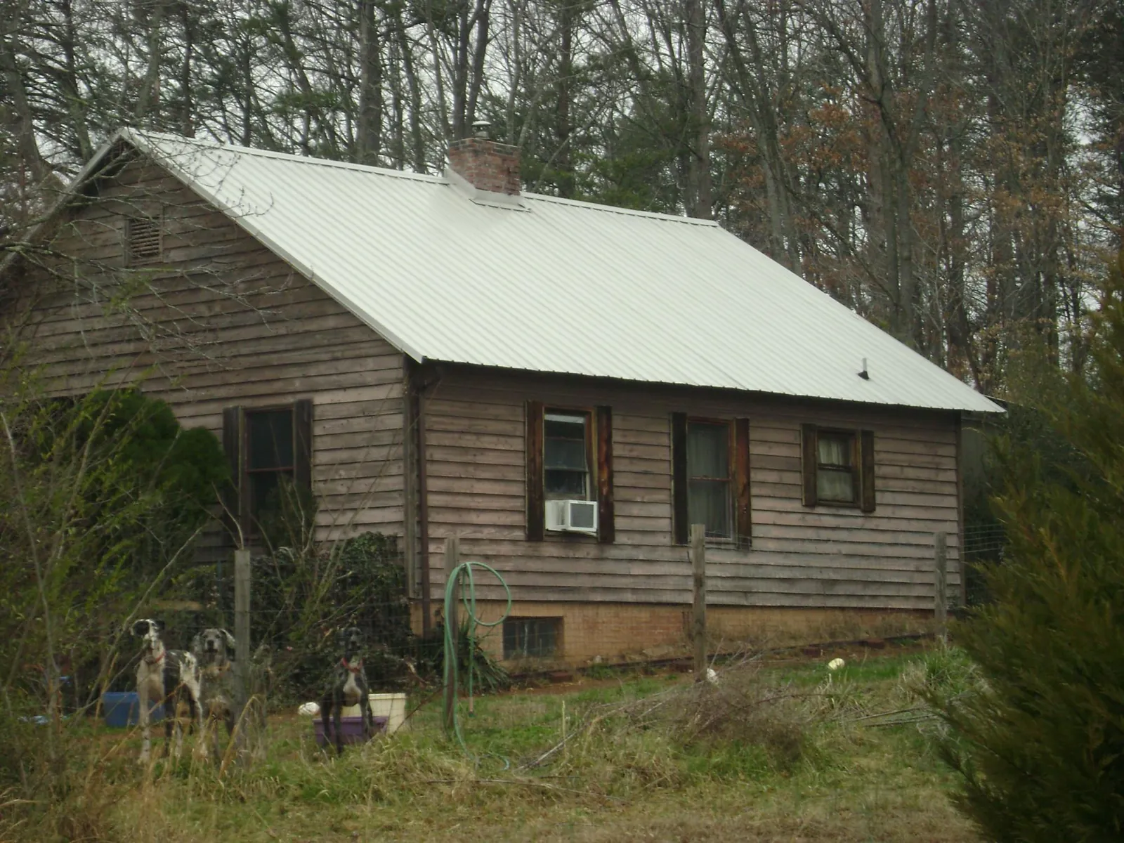 White metal roof on an old wood sided farmhouse, from a Metal Roof Installation job in Maple Lake